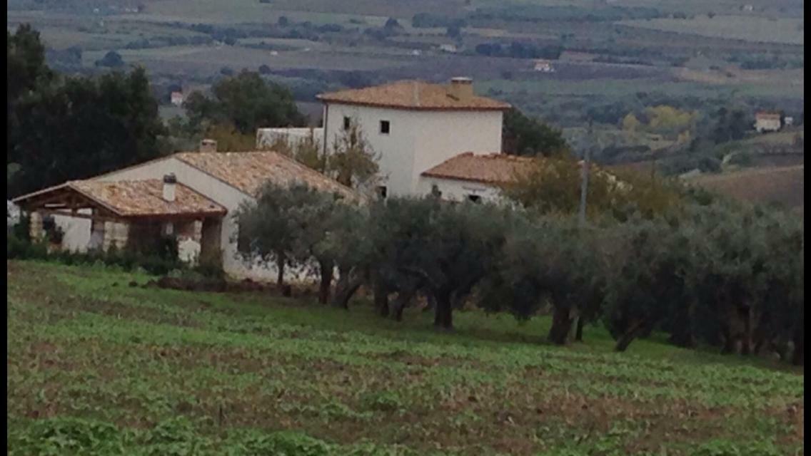 Villa Angiolina, Molise Guglionesi Экстерьер фото